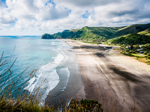 智能降噪处理的DDOS接单平台